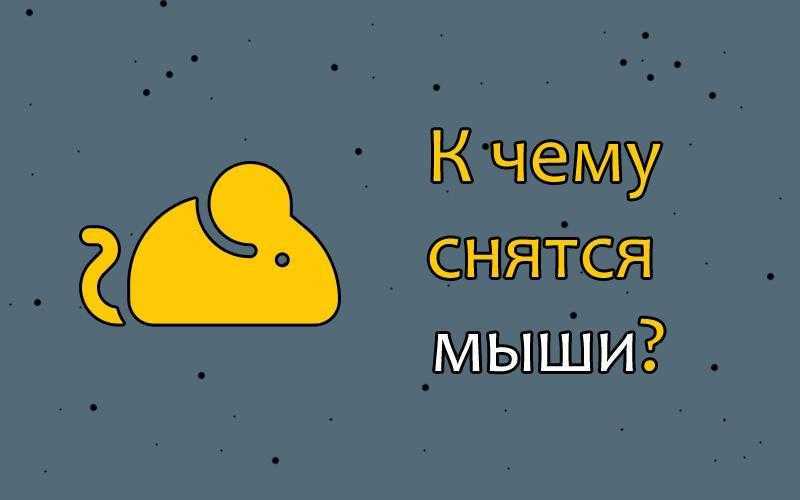 Сонник ловить мышей. к чему снится ловить мышей видеть во сне - сонник дома солнца
