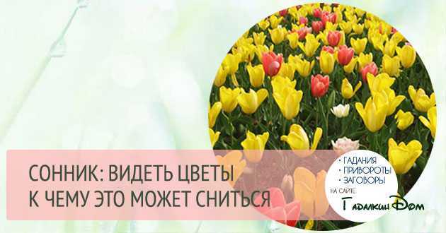К чему снится цветы: толкование сна — мир космоса