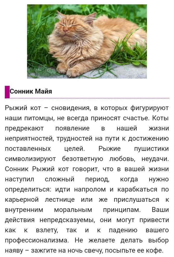 К чему снится голова в соннике миллера: толкование снов 2023