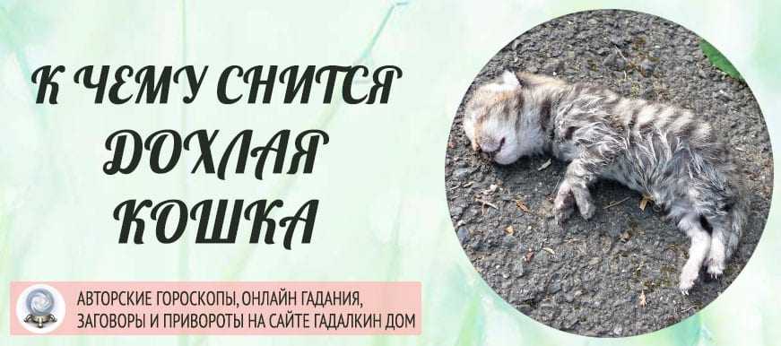 К чему снятся  часы во сне — по 90 сонникам! если видишь во сне часы что значит?