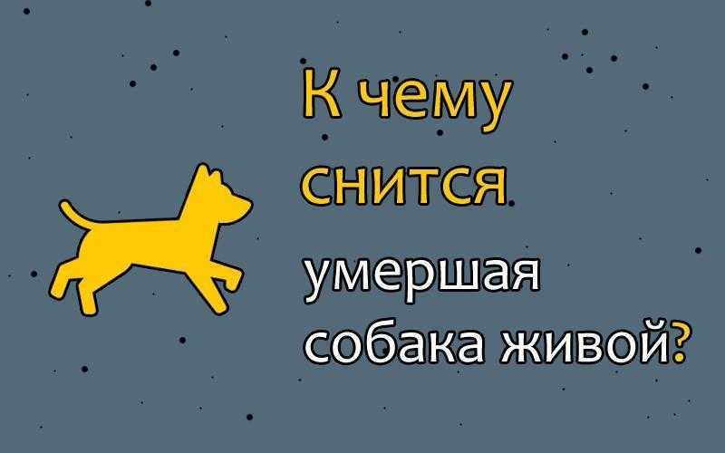 К чему снится умершая собака своему хозяину: собака в сне как живая