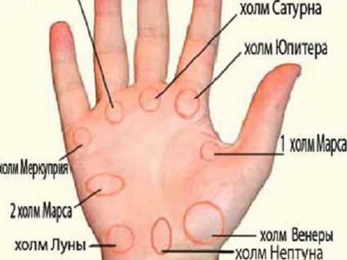 Холм нептуна на руке ✋ (ладони) человека