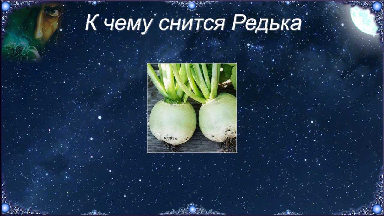 Сонник редис сажать. к чему снится редис сажать видеть во сне - сонник дома солнца