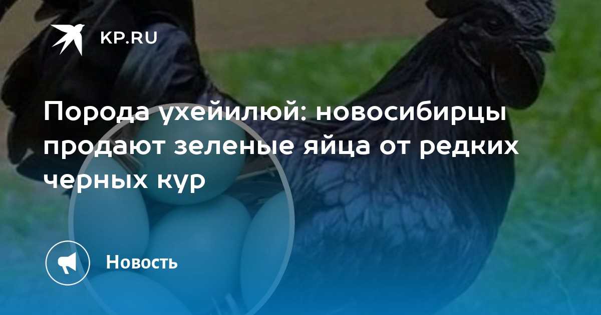 К чему снятся гусиные яйца - трактование для женщины