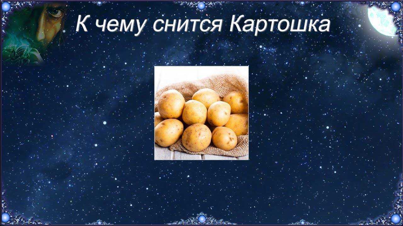 Что значит копать картошку во сне?