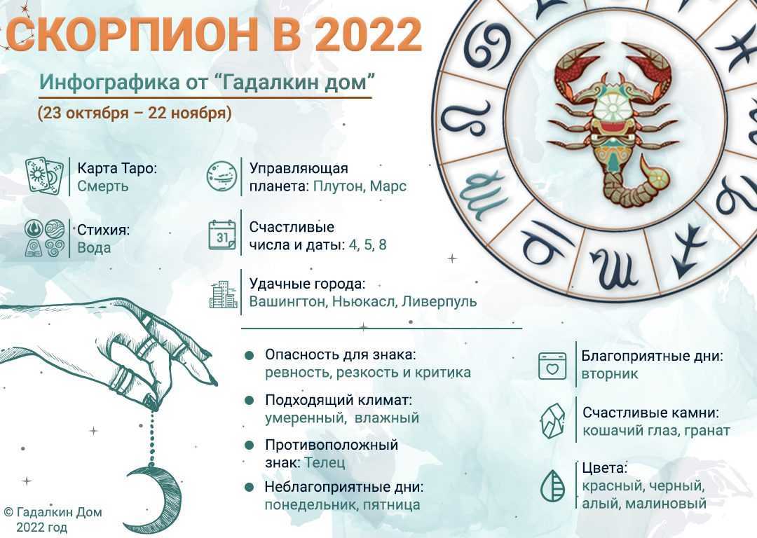 Гороскоп скорпион на декабрь 2021 года