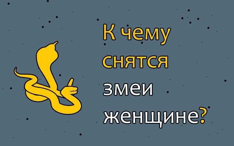 Сонник нападение змей. к чему снится нападение змей видеть во сне - сонник дома солнца