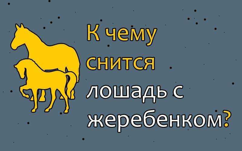 Сонник лошадь белая. к чему снится лошадь белая видеть во сне - сонник дома солнца