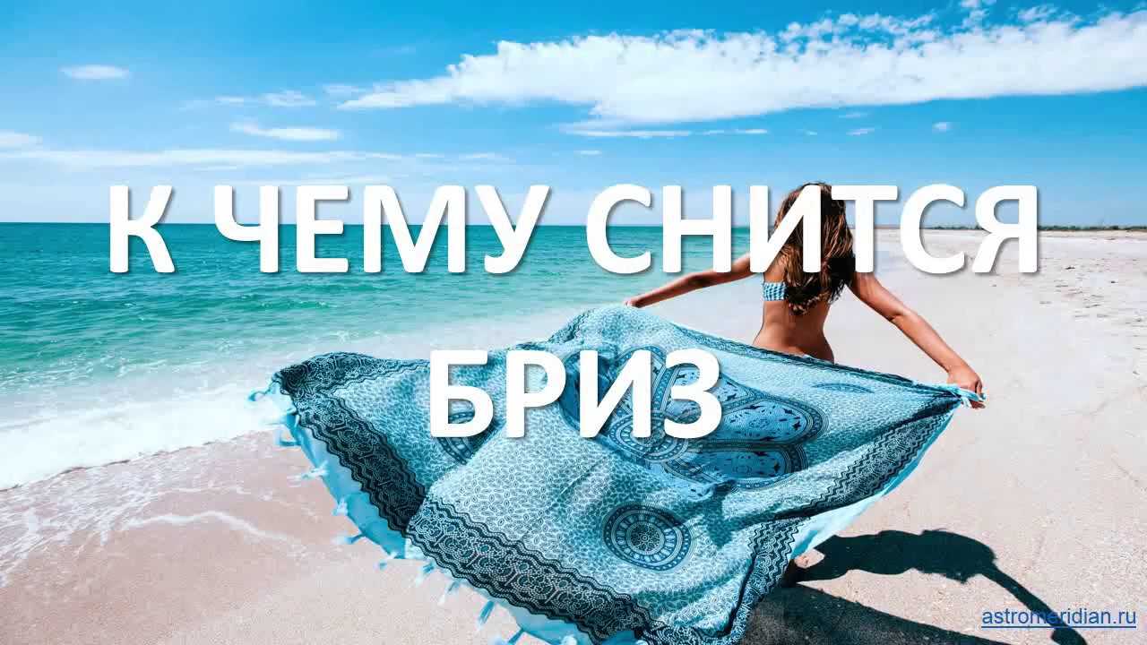 К чему снится  самолет во сне — по 90 сонникам! если видишь во сне самолет что значит?