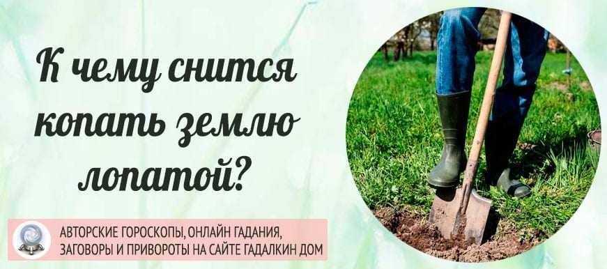 К чему снится копать картошку