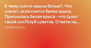 Видеть крысу во сне: что это значит, точное толкование по соннику