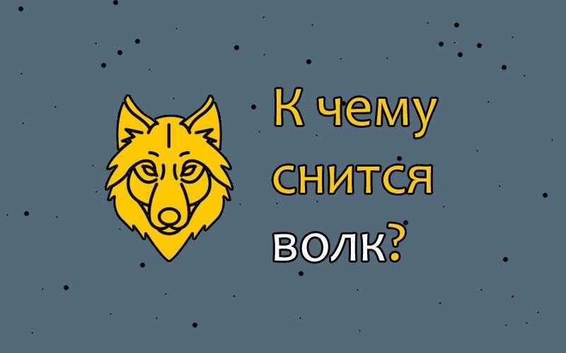 Сонник вой волков: к чему снится и что означает сон?