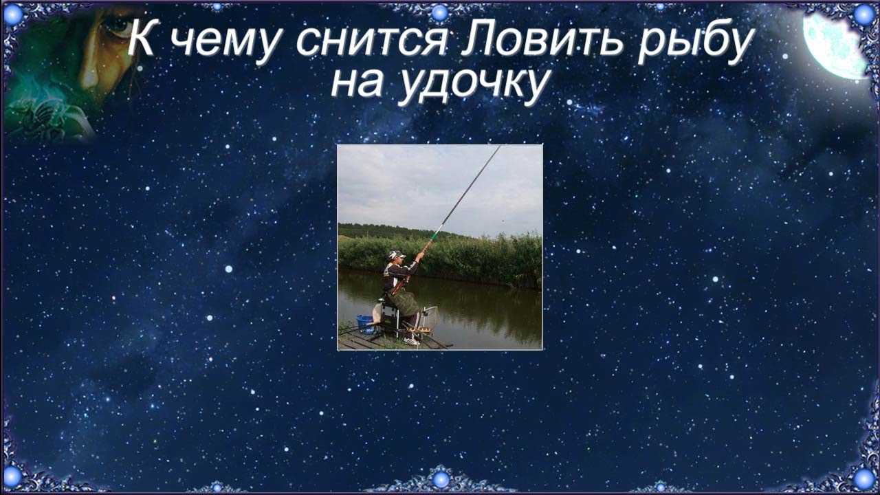 К чему снится рыба? толкование по 31 соннику