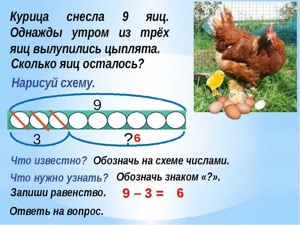 К чему снятся яйца куриные? что значит видеть во сне много яиц?