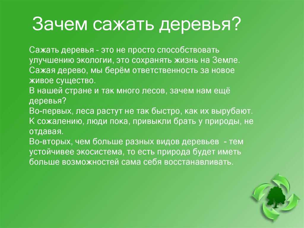 К чему снится покупать саженцы деревьев. сонник — саженцы. личная жизнь изменится к лучшему