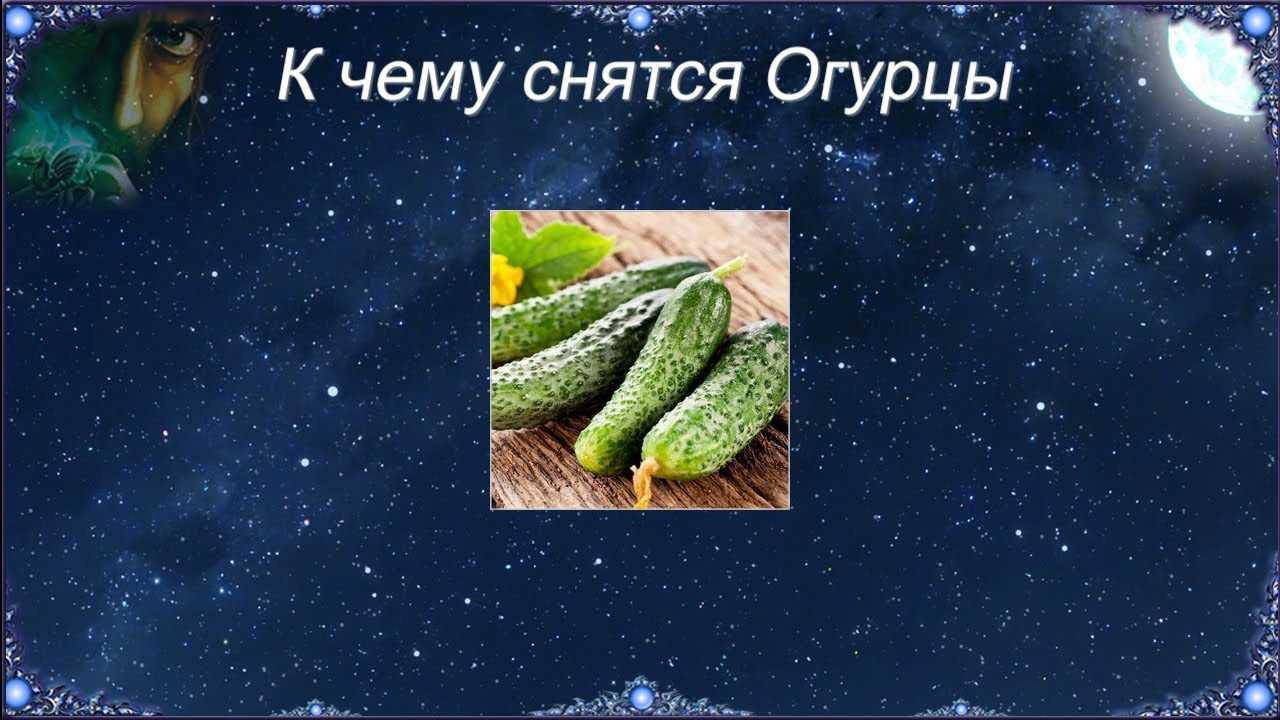 К чему снятся овощи: толкование снов по соннику, значение видений о свежих, вареных и гнилых продуктах