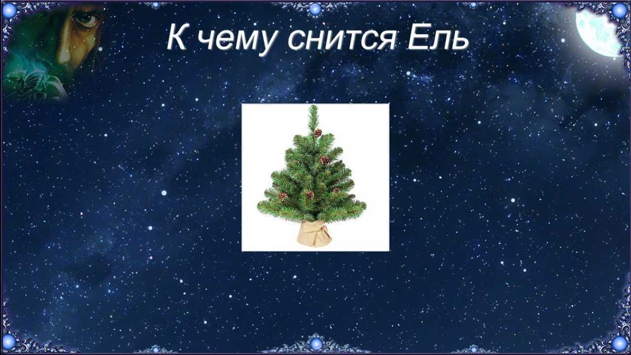 К чему снится елка, сонник – елка во сне