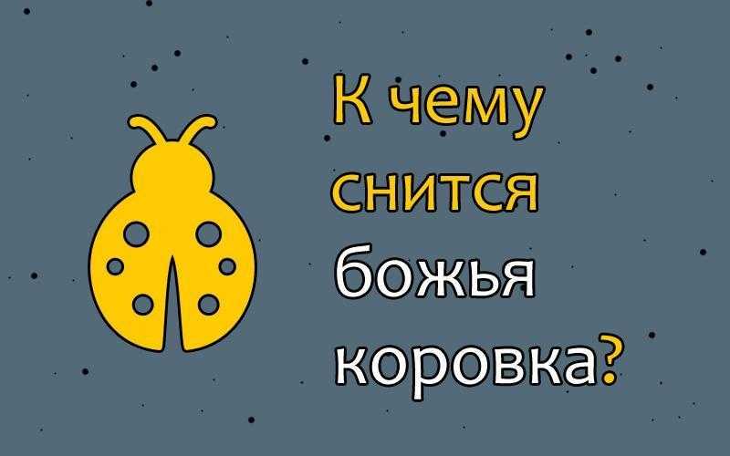 К чему снится божья коровка 🐞 - топ-42 толкования ❗ по сонникам: что значит для мужчины и женщины во сне видеть много больших или маленьких красных насекомых