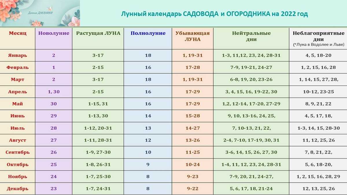 Что делать в полнолуние?