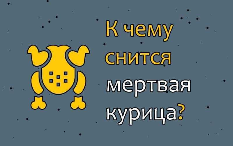 К чему снится мертвая курица: белая, черная, много, протухла, ожила, снесла яйцо, без головы