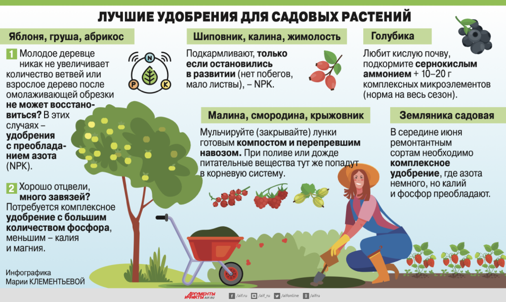 Сонник теплицы: к чему снятся теплицы женщине или мужчине