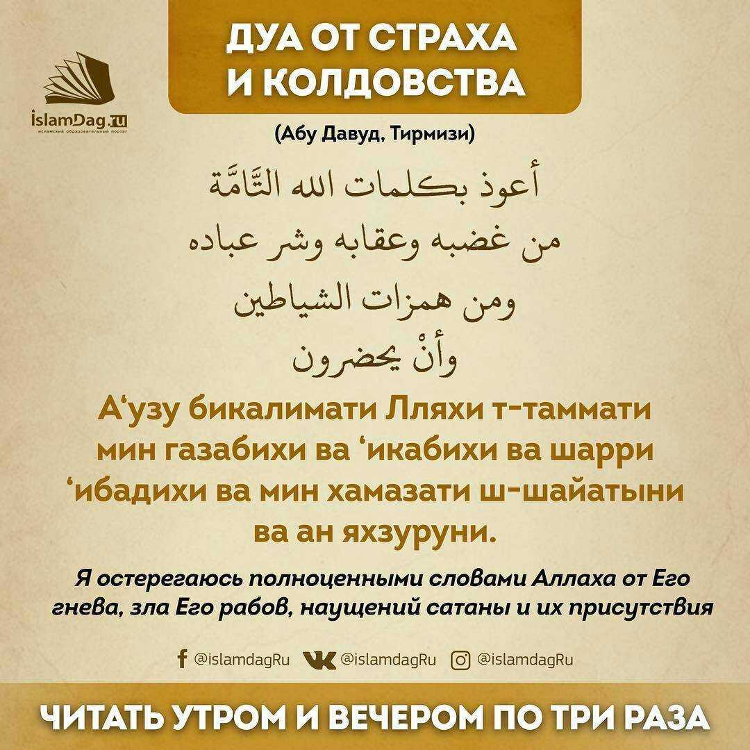 Исламские молитвы: намаз и дуа