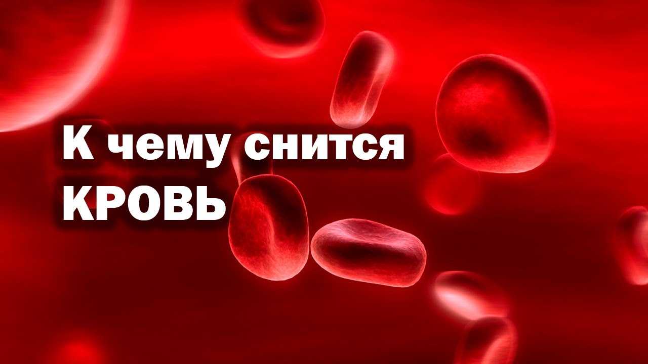 К чему снится кровь из сосков, видеть кровь из сосков во сне - по всем сонникам