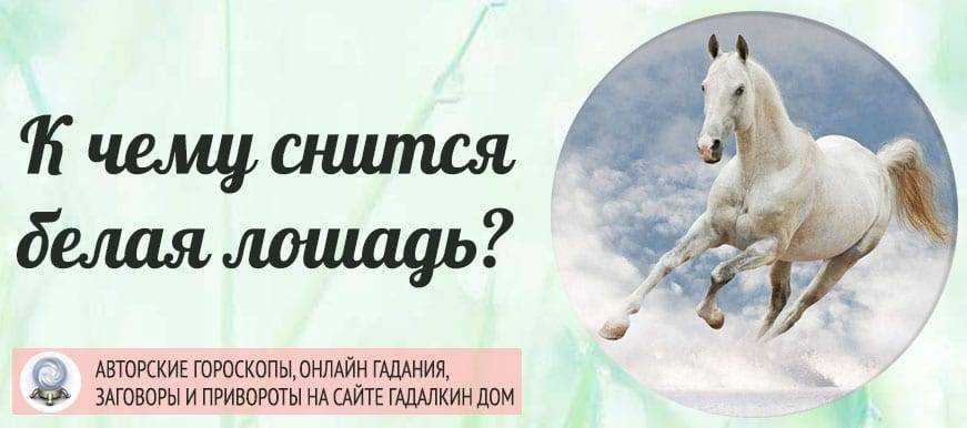 К чему снится конь. видеть во сне конь - сонник дома солнца