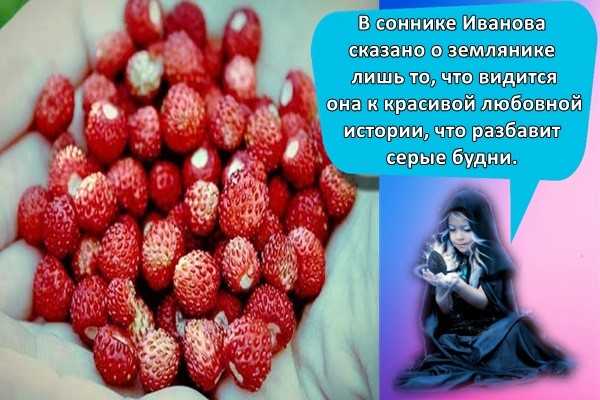 К чему снится земляника. видеть во сне земляника - сонник дома солнца