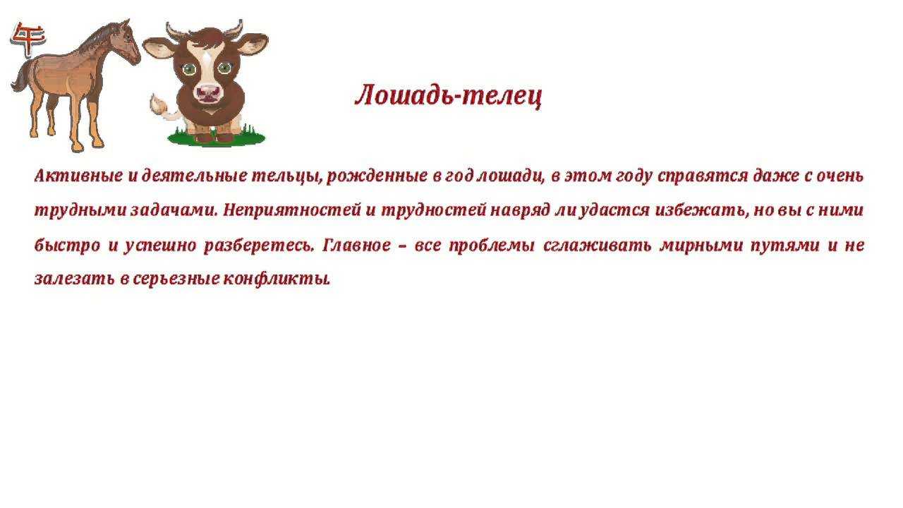 Козерог в год лошади женщина
